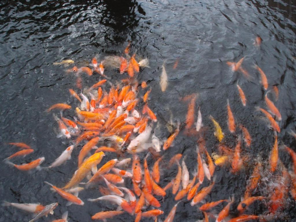 礁溪春水笈温泉度假会馆公寓 外观 照片
